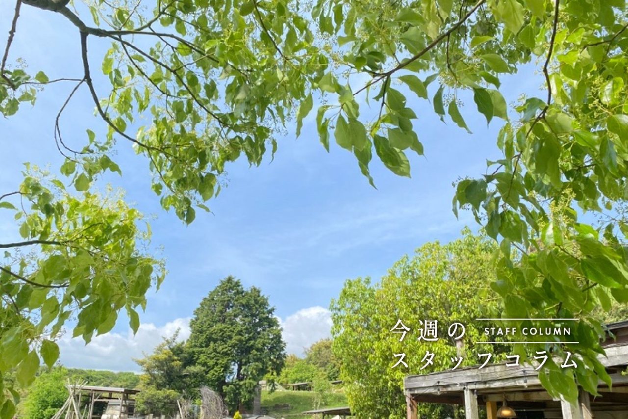 「LINEに届く“ツバメ、今年も帰ってきたで” 父の変わらない眼差し。」OURHOME WEB LETTER | OURHOME 暮らしのブログ