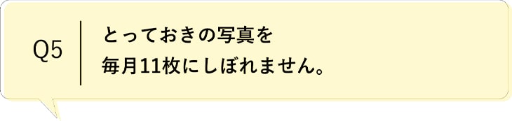 Q5 とっておきの写真を毎月11枚にしぼれません。